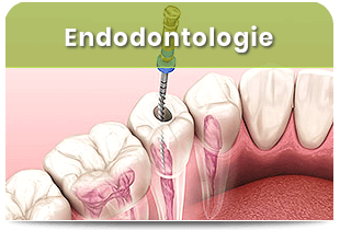 Endodontologie